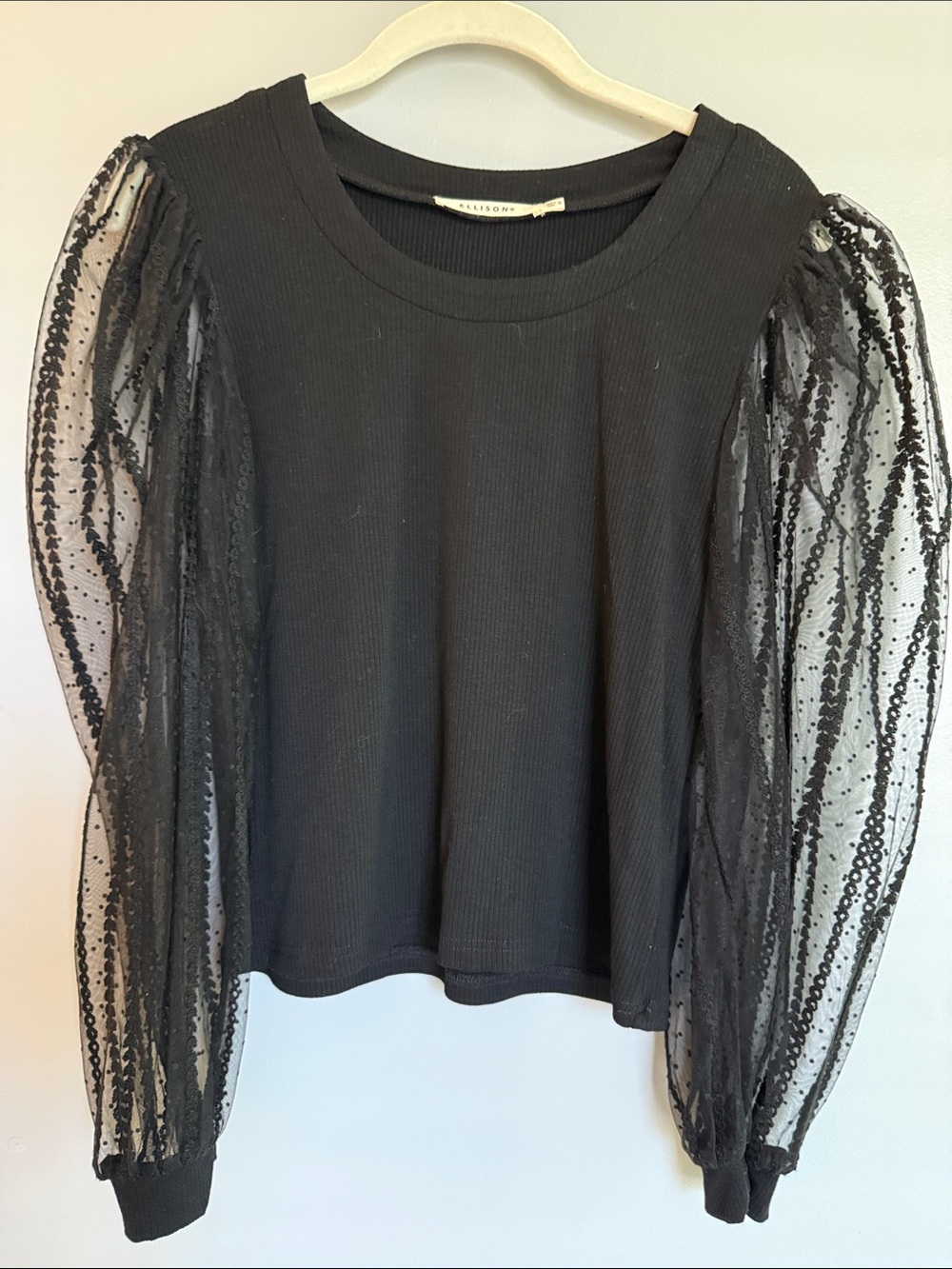 Ellison Black Ribbed Body Top with Sheer Puff Dot-Sleeves